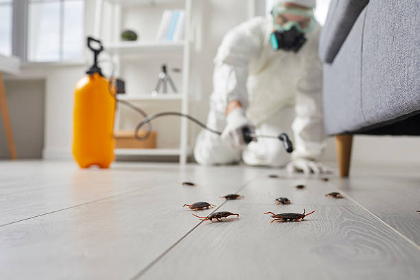 Commercial Kitchen Cockroach Control in Gonzales